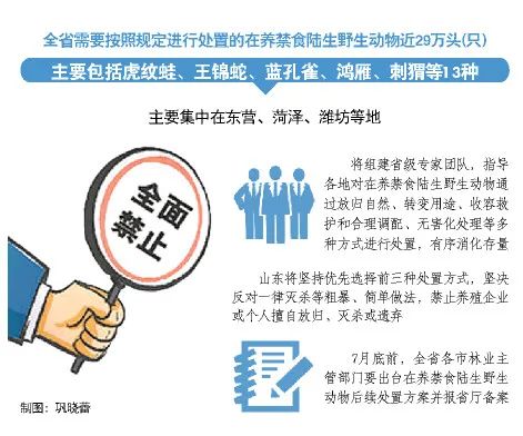 制图:巩晓蕾